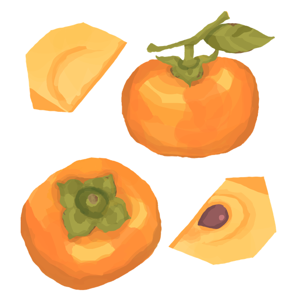 persimmon