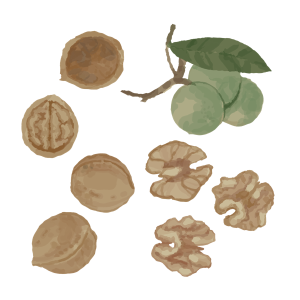 walnuts