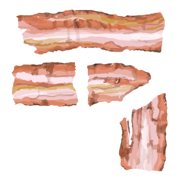 bacon