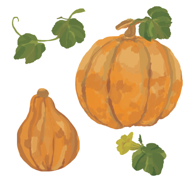 pumpkin