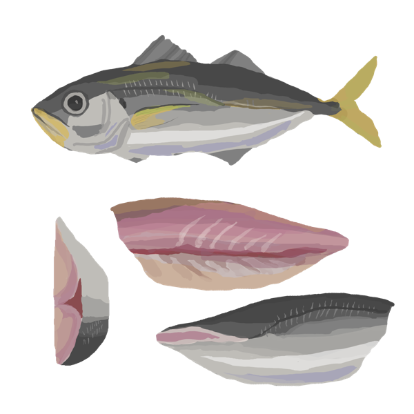 horse mackerel