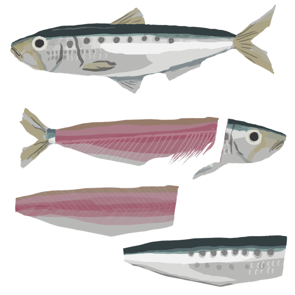 sardines