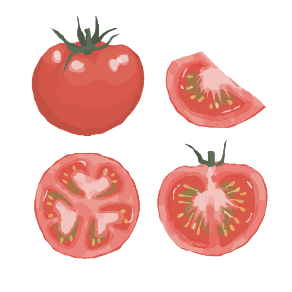 tomato